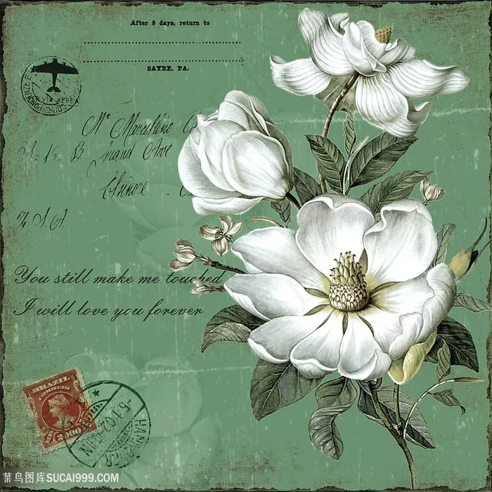 欧式花朵装饰画