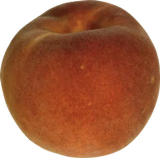 45_peach_PNG4894 45_peach_PNG4894