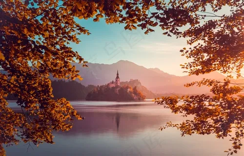 高清唯美树林树叶风景图片