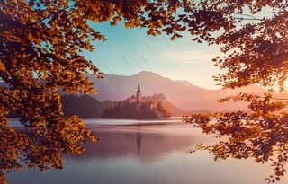 高清唯美树林树叶风景图片