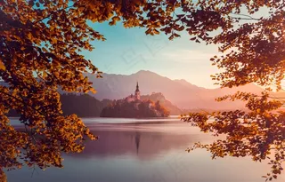 高清唯美树林树叶风景图片