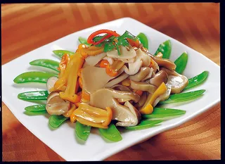 95LC-529荷豆双菌