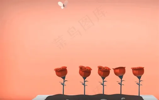 院子里的玫瑰花