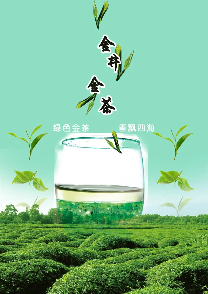 春茶上市茶叶psd背景psd模版下载