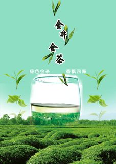 春茶上市茶叶psd背景