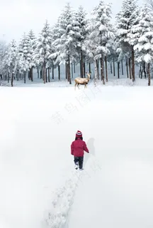 立冬背景图 立冬背景图