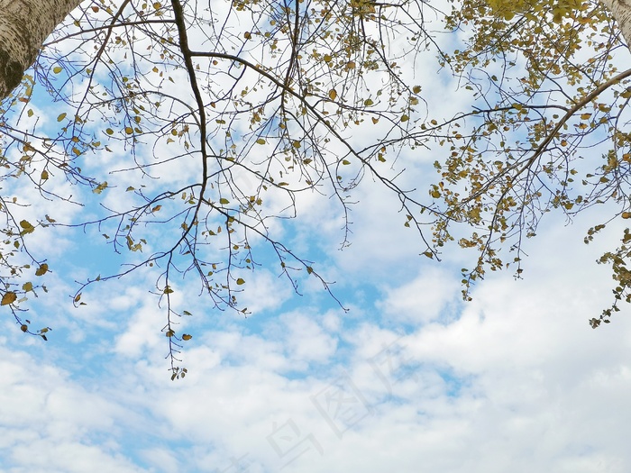 秋天辽阔天空