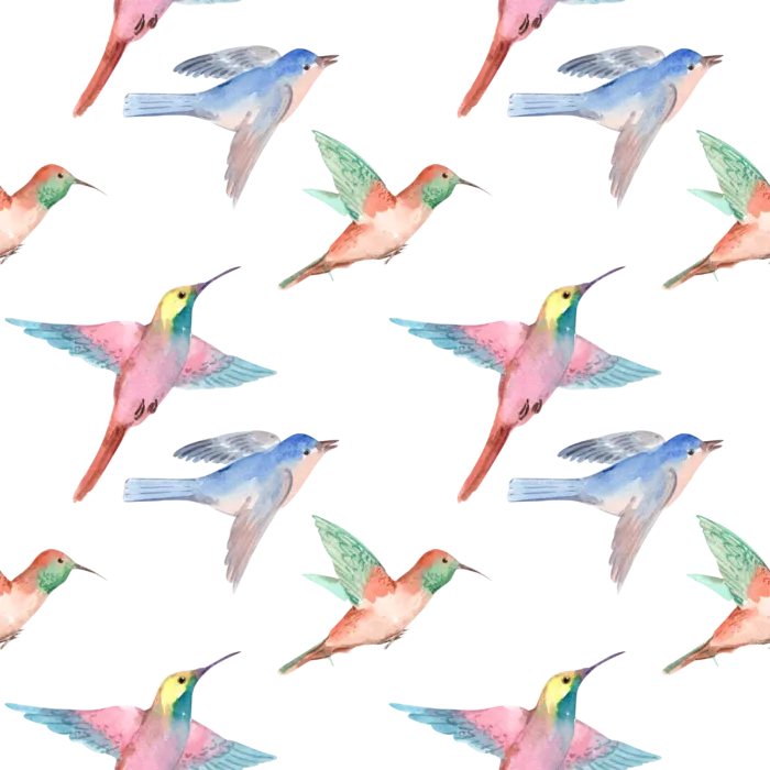 插画春鸟免抠素材