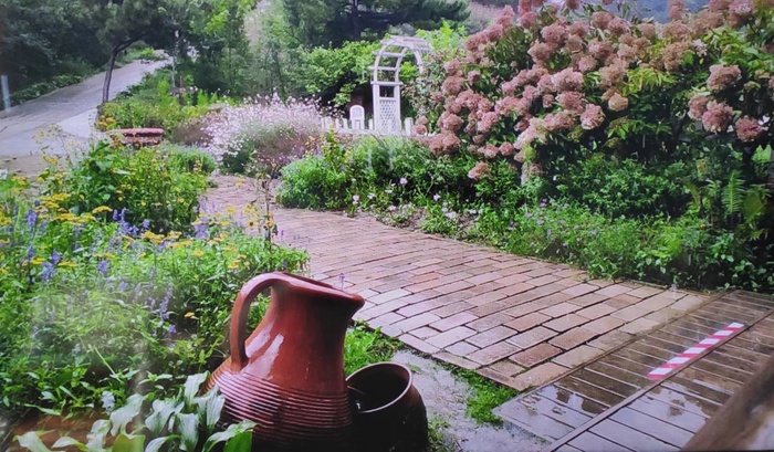 8月3日天街小雨润如酥