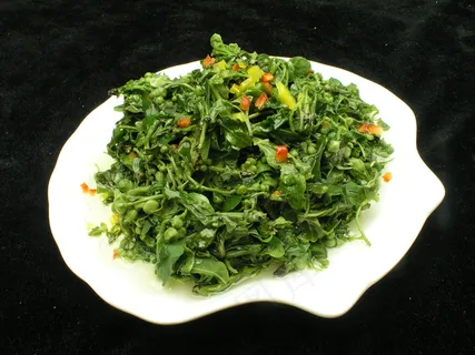 2190珍珠花 2190珍珠花
