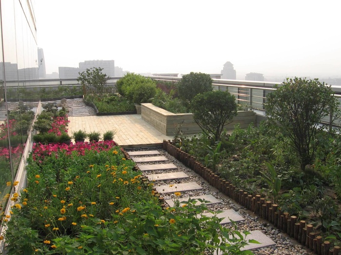 花卉造型 艺术摄影 摄影 建筑园林 园林建筑