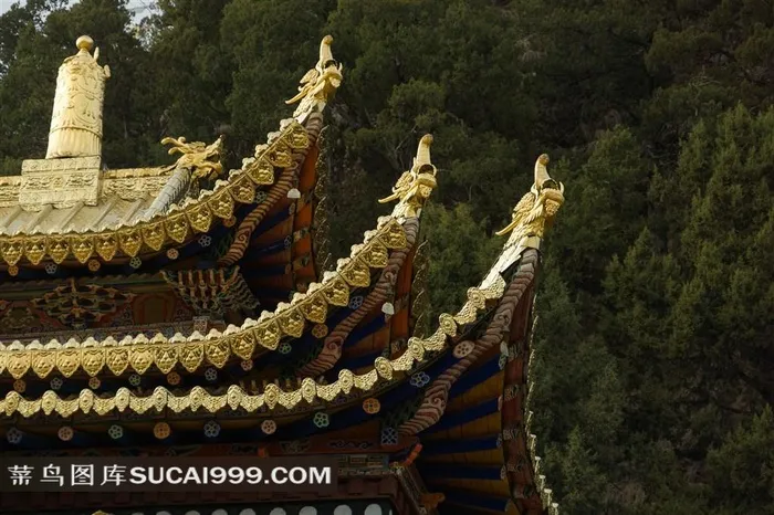 中国古典藏式寺院建筑金顶龙头挑檐景观