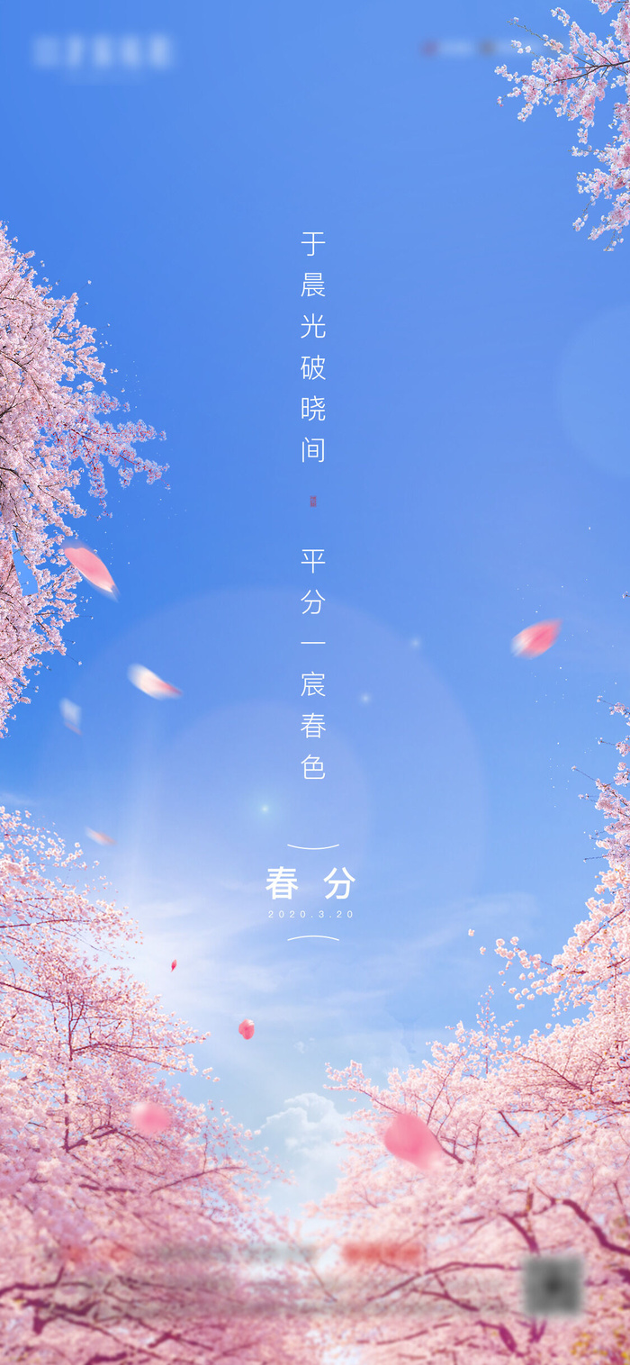 二十四24节气春分海报设计地产企业推广宣传插画节日psd素材模版psd模版下载