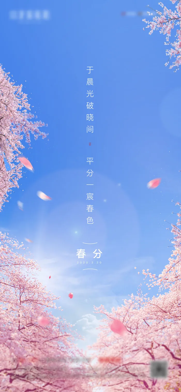 二十四24节气春分海报设计地产企业推广宣传插画节日psd素材模版psd模版下载