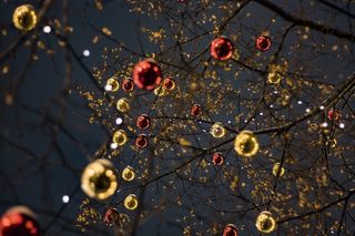 装饰品, 树木, 灯, 装饰品 树木 灯 球 庆典 圣诞节 冬天