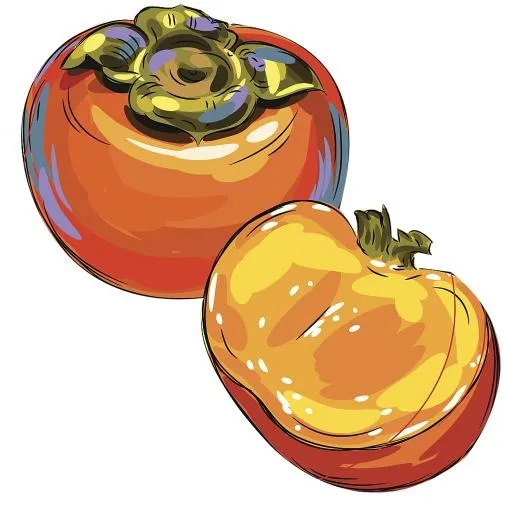 柿子 PNG免抠(1010x1024)