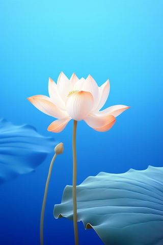 蓝色简约大气荷花意境背景