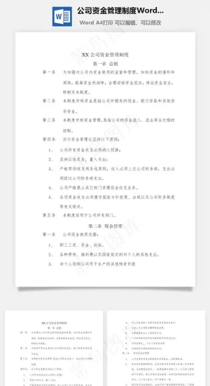 公司资金管理制度Word文档