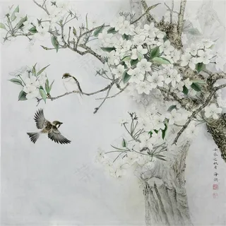 白兰喜鹊图工笔画