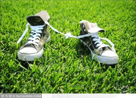 放在草地上两只鞋子鞋带绑在一起的迷你高帮平地帆布鞋