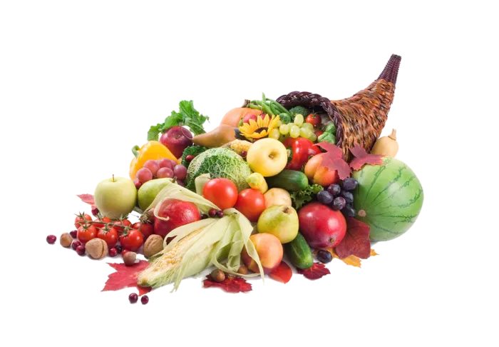 尖角篮子现代农业