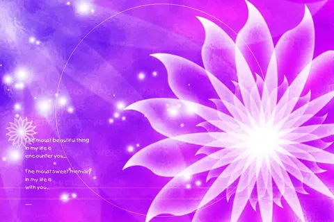 唯美透明分形花朵