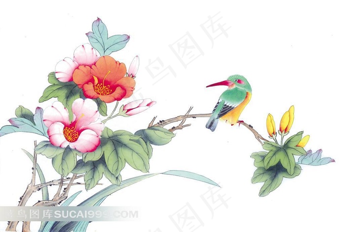 水墨国画月季花翠鸟