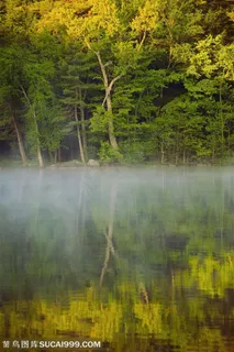 树木树叶-山边的树木倒影在水中
