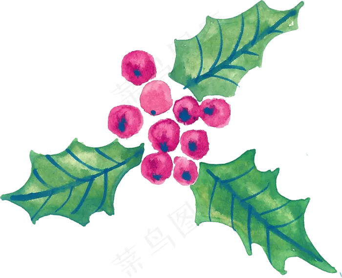 冬季圣诞节花卉果花圈植物免抠海报PNG素材