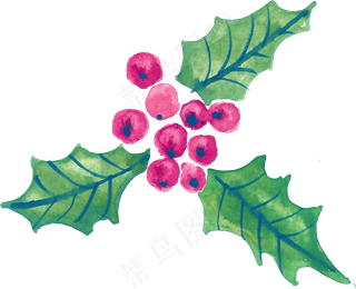 冬季圣诞节花卉果花圈植物免抠海报PNG素材