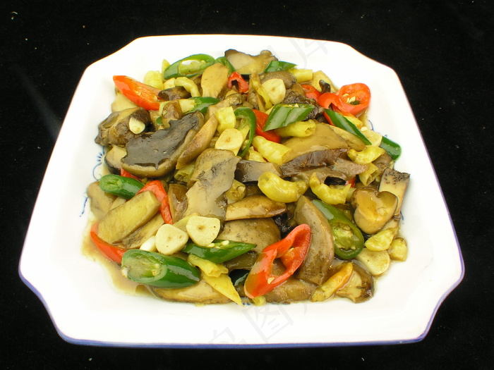 1335双嫩牛肝菌ff