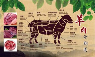 传统羊肉部位分割图海报
