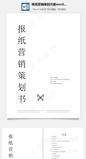 报纸营销策划方案word文档