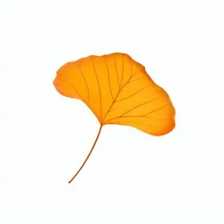 银杏叶秋天黄色树叶免抠元素