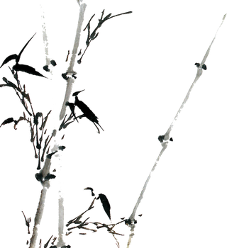 竹子水墨画中国风国画墨水书法竹子画