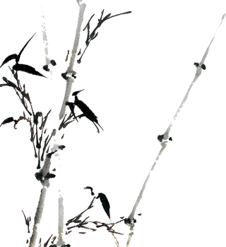 竹子水墨画中国风国画墨水书法竹子画