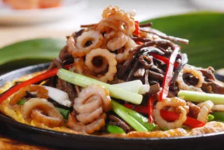 XCXC0308茶菇天梯