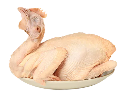 三黄鸡 实物生鲜 免抠