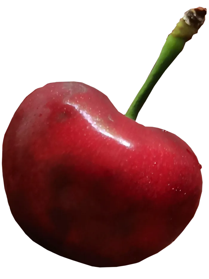 汉源大樱桃单个熟透大果免抠摄影元素psd模版下载
