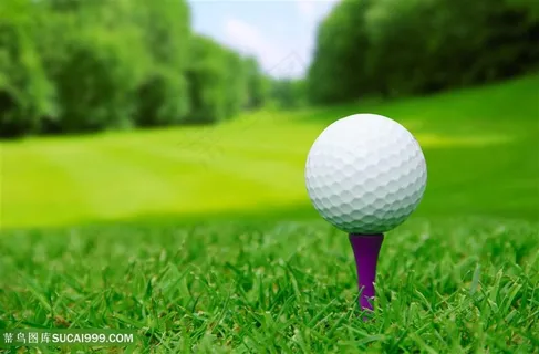 体育运动高尔夫高清图片 体育运动高尔夫高清图片