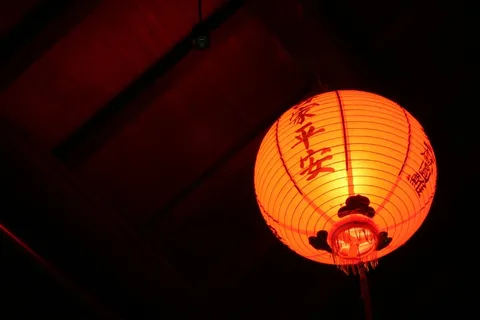 新年灯笼图片 新年灯笼图片