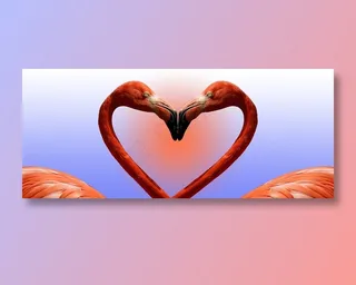 组成心形的两只火烈鸟摄影高清图片鸟图片