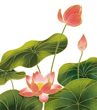 国潮中国风手绘荷花莲花荷叶莲藕植物花卉装饰插画PSD设计素材