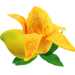 芒果食物植物