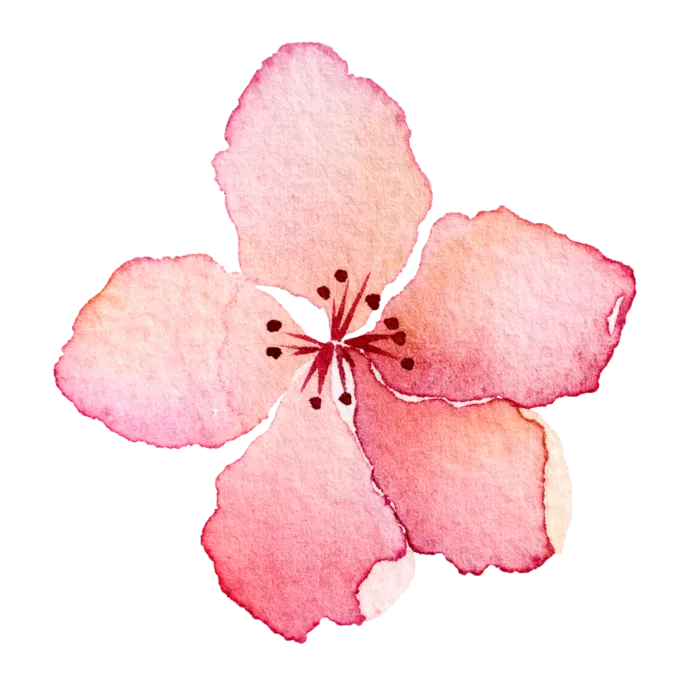 粉色简约风手绘鲜花花朵水墨画PNG素材图片 (103)