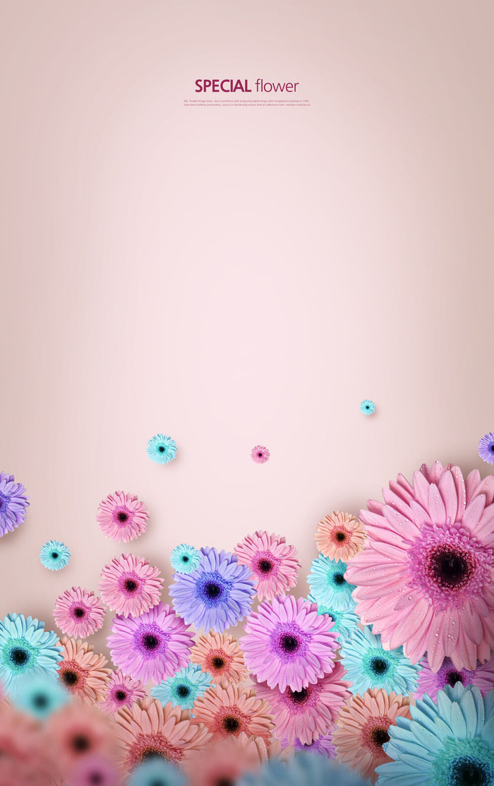 韩式花卉节日背景