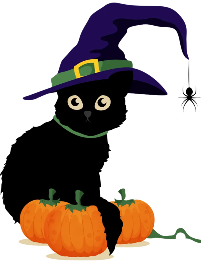 万圣节猫咪