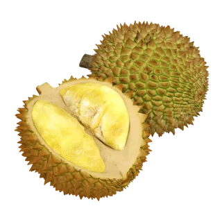 夏天水果食物植物3D模型榴莲免扣