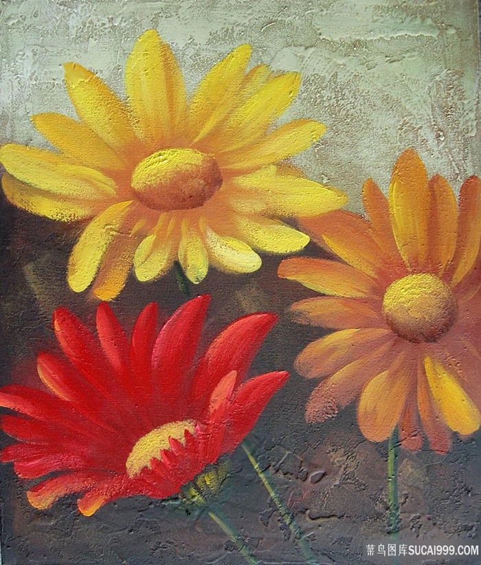 唯美花卉花瓣静物插画