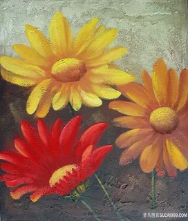 唯美花卉花瓣静物插画